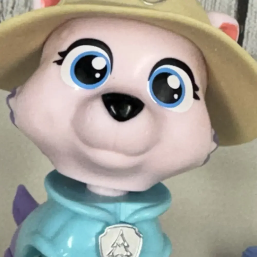 Paw Patrol Skye's Camping Figure Everest Toy And Baby Seal
